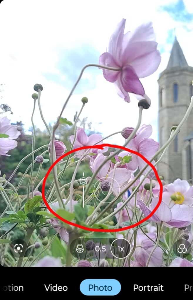 A smartphone screen displays a camera interface focusing on delicate pink flowers with slender stems, set against a blurred background including a tall, pointed building. The focal area is circled in red. Various camera mode options are visible at the bottom.